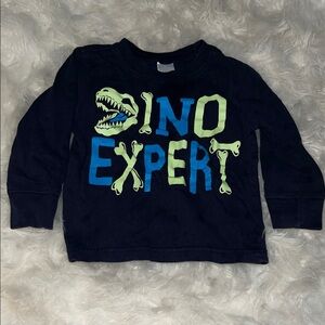 Gymboree Dino Expert Long Sleeve Tee - Navy and Lime